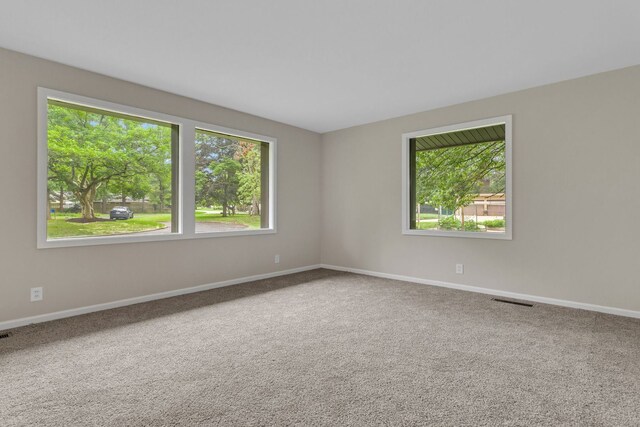 spare room with carpet and plenty of natural light