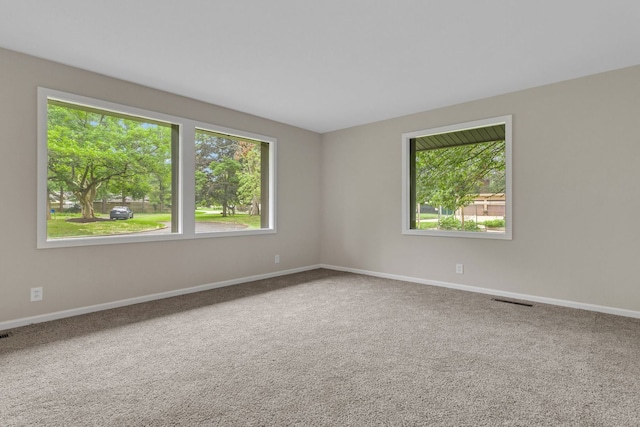 spare room featuring a wealth of natural light and carpet floors