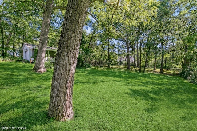 view of yard featuring an outbuilding