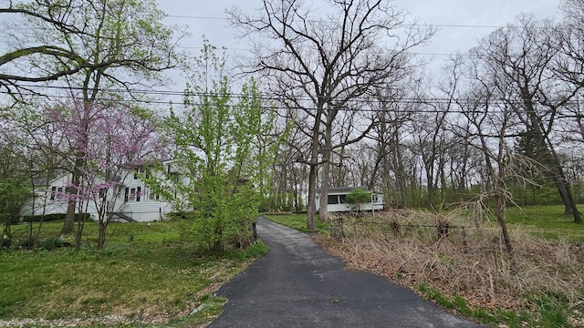 view of street with aphalt driveway