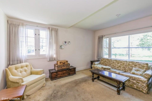 living room with baseboards