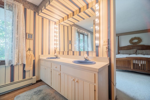 bathroom featuring wood-type flooring, vanity, and baseboard heating