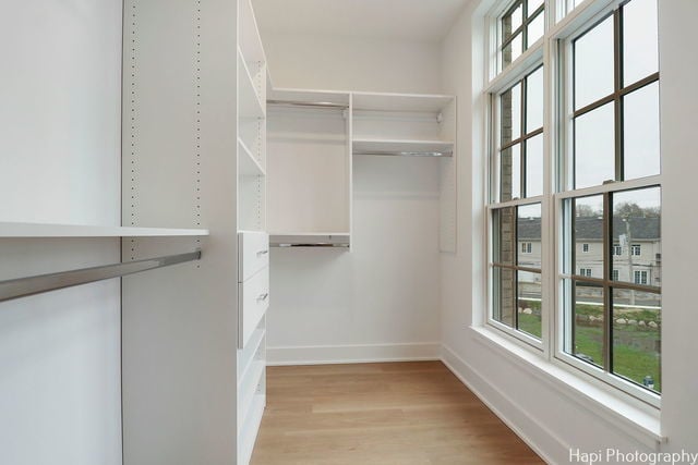 spacious closet featuring light hardwood / wood-style flooring