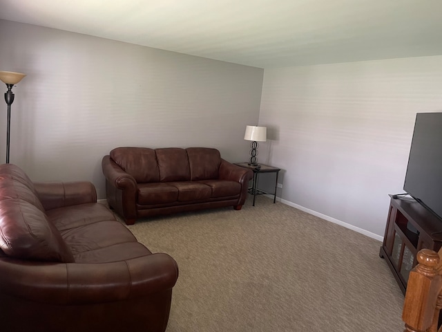 living room featuring light colored carpet