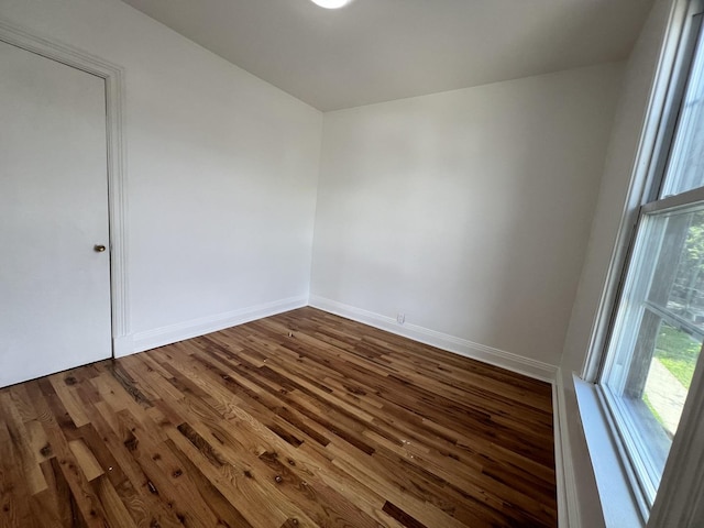 spare room with dark wood-type flooring