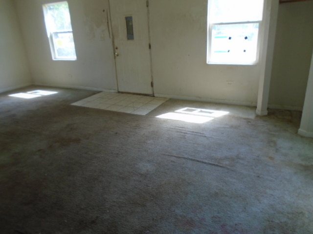 foyer featuring light carpet