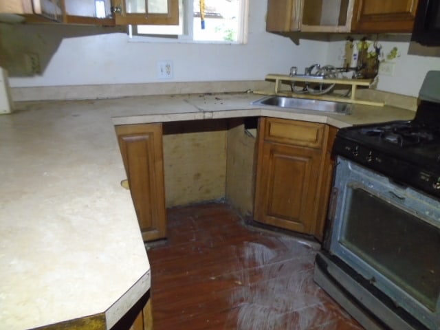 kitchen featuring dark hardwood / wood-style floors, black range with gas stovetop, and sink