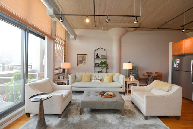 living room featuring track lighting and hardwood / wood-style flooring