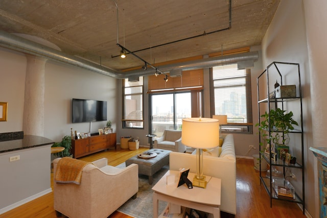 living room with hardwood / wood-style flooring and rail lighting