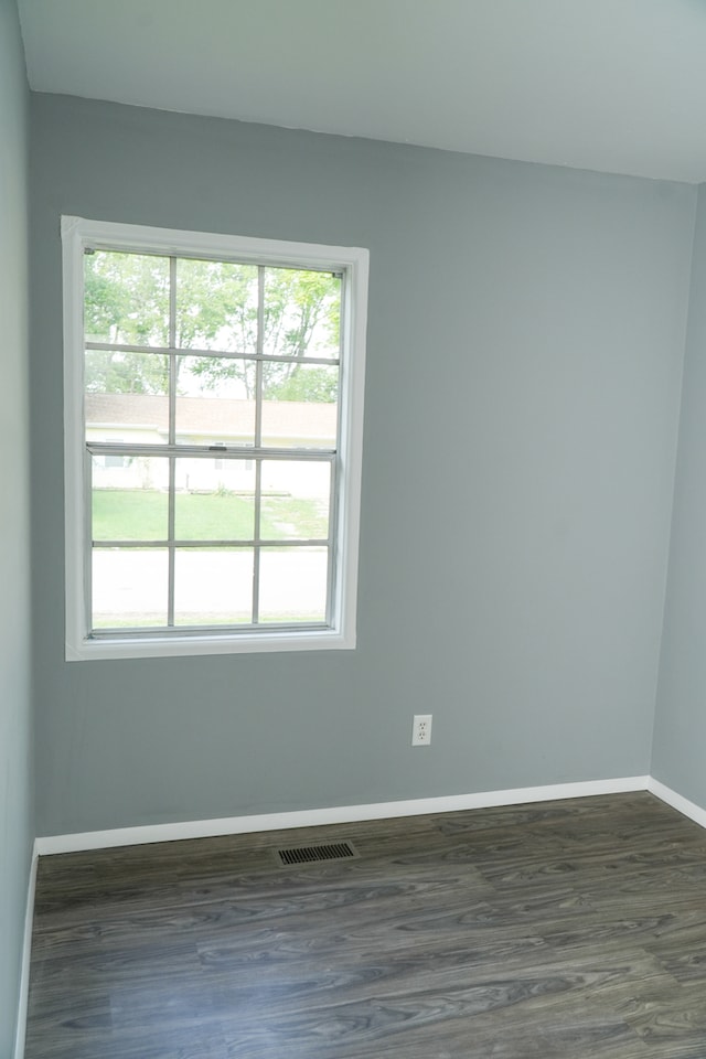 spare room featuring a wealth of natural light and dark wood-type flooring