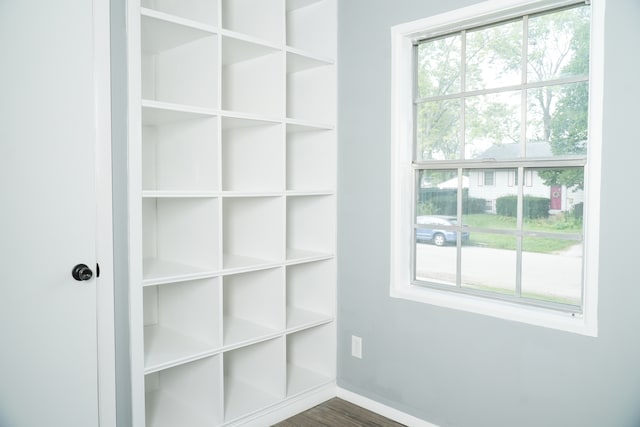 interior space with dark wood-type flooring