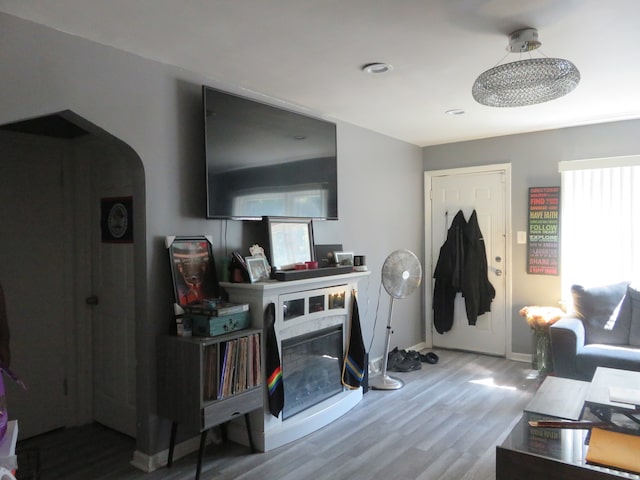 living room featuring hardwood / wood-style floors