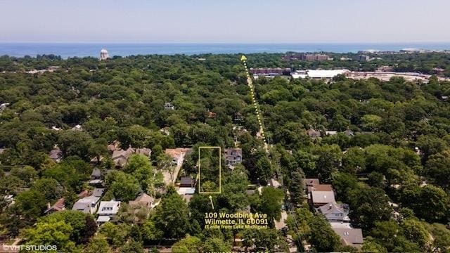 bird's eye view