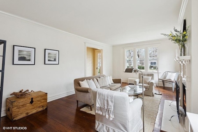 living area with radiator, crown molding, wood finished floors, and baseboards