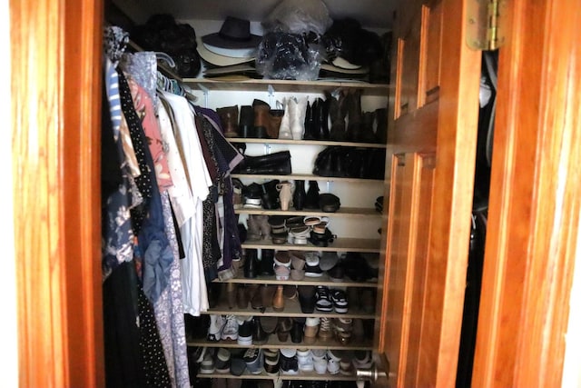 view of closet