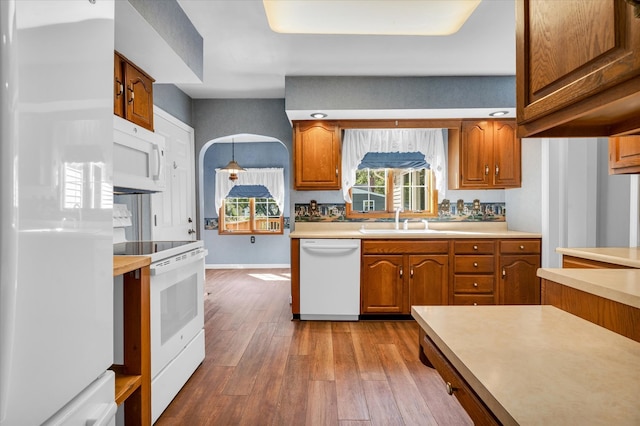 kitchen with hardwood / wood-style flooring, sink, and white appliances