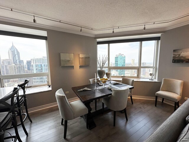 dining space with a textured ceiling, plenty of natural light, and track lighting