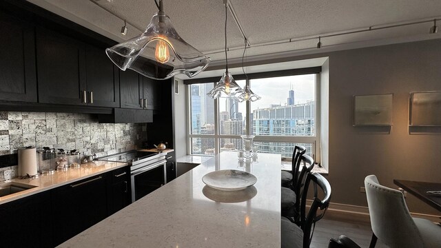 kitchen with decorative backsplash, rail lighting, hardwood / wood-style flooring, and stainless steel electric range oven