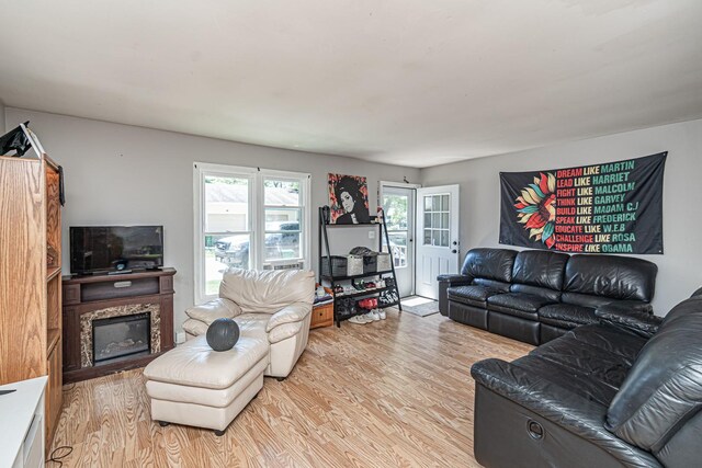 living room with light hardwood / wood-style floors