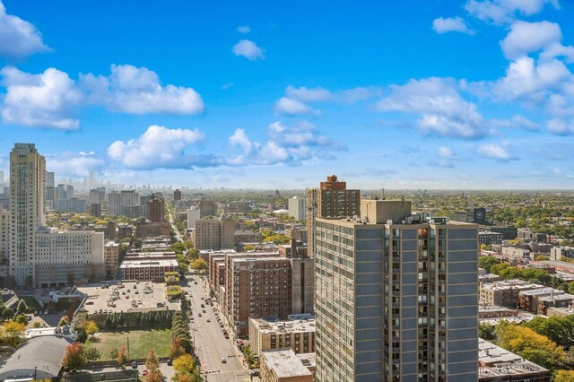 property's view of city