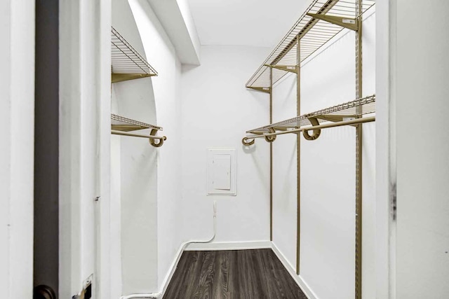 walk in closet with wood-type flooring