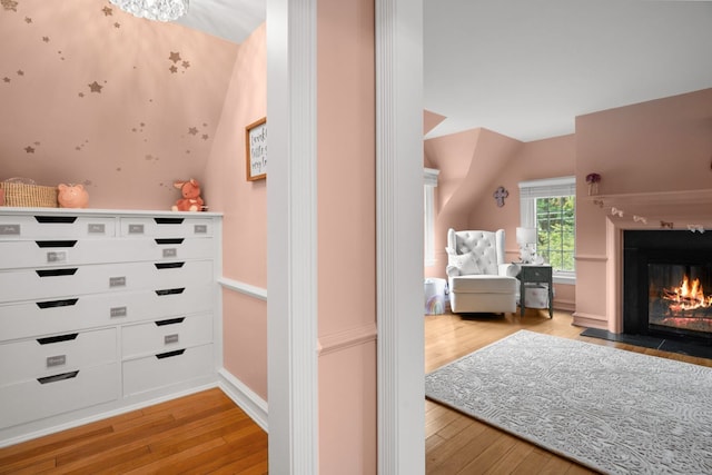 walk in closet with vaulted ceiling and light wood-type flooring