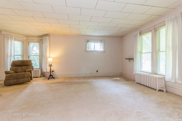 interior space featuring radiator and light colored carpet