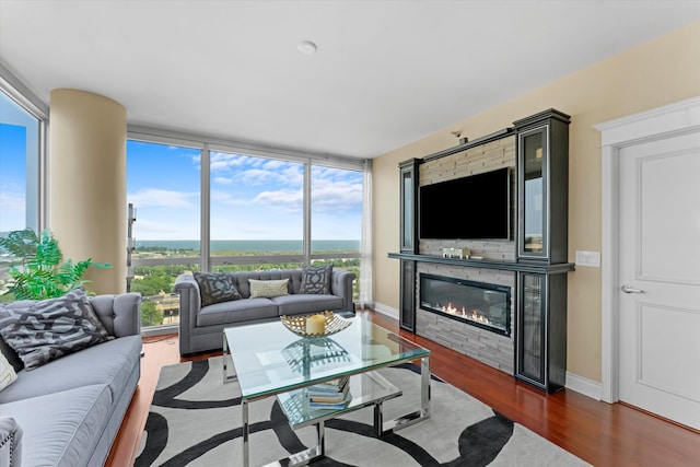 living room featuring floor to ceiling windows, plenty of natural light, and dark hardwood / wood-style flooring