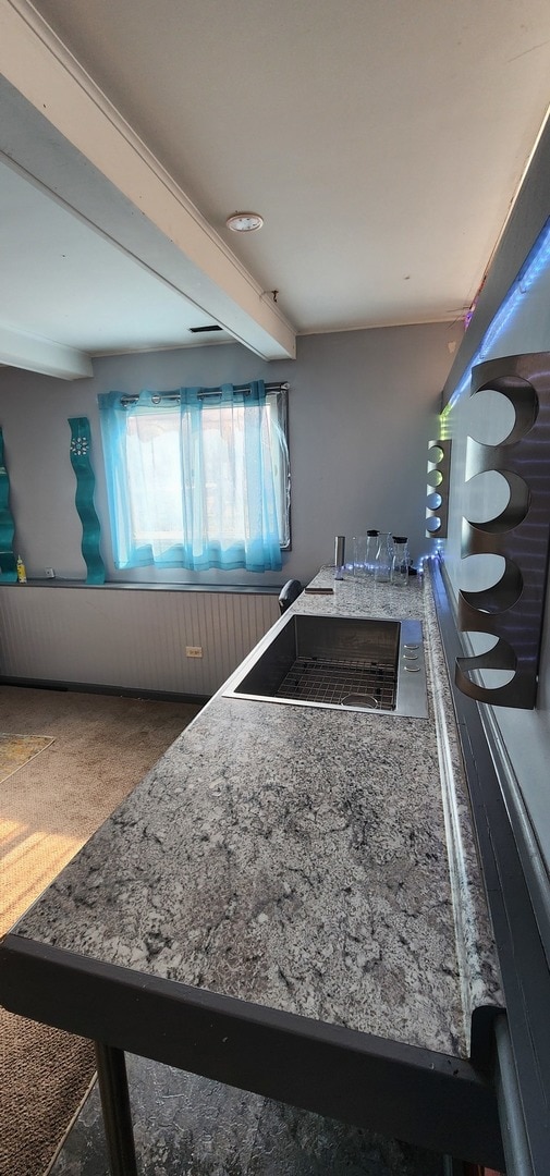 kitchen featuring carpet floors