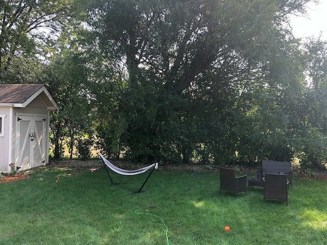 view of yard with a shed