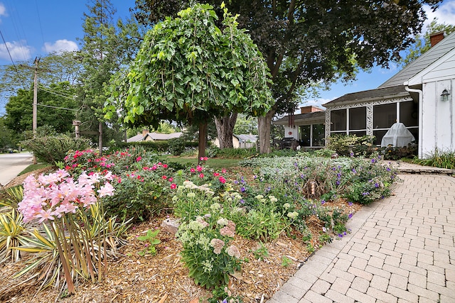 view of yard with a sunroom