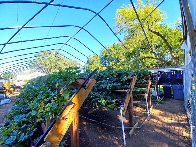 view of jungle gym