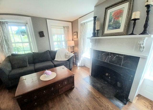 living room featuring a fireplace and hardwood / wood-style floors