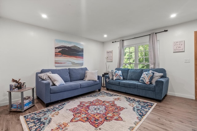 living room featuring wood-type flooring