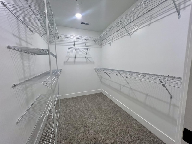 walk in closet featuring carpet flooring