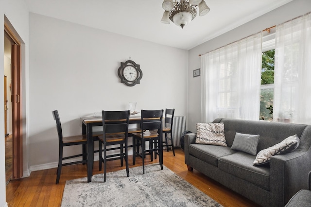 living room featuring radiator heating unit, wood finished floors, and baseboards