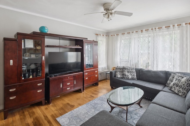 living room featuring radiator heating unit, light wood-type flooring, and ceiling fan