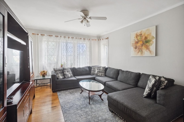 living room featuring light wood finished floors, a healthy amount of sunlight, and a ceiling fan