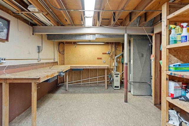 basement featuring light carpet and a workshop area