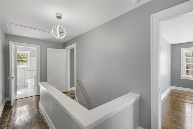 corridor featuring dark wood-type flooring and tile walls