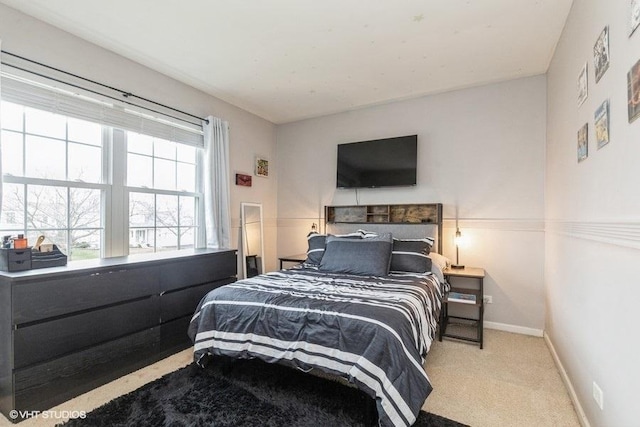 bedroom with carpet flooring