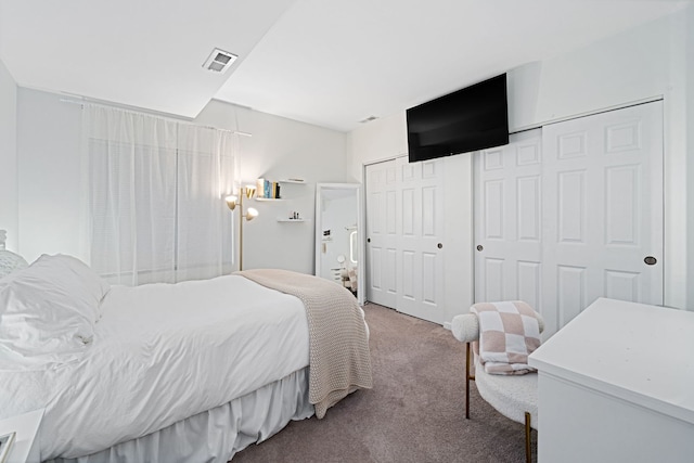 carpeted bedroom featuring multiple closets