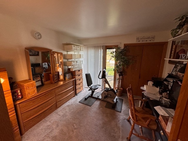 workout room with carpet floors