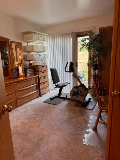 workout room featuring carpet floors