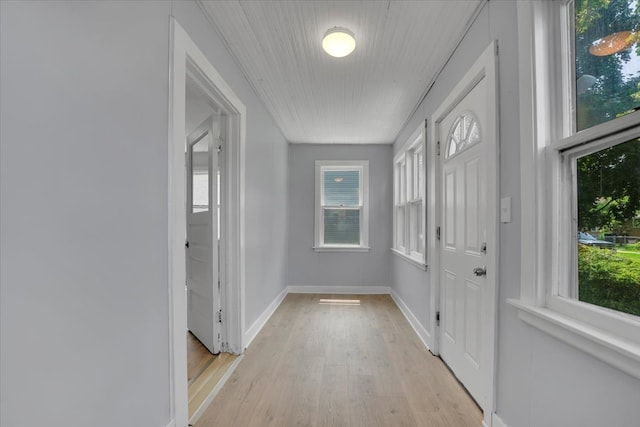 interior space with light hardwood / wood-style flooring and a wealth of natural light