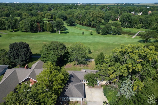 bird's eye view