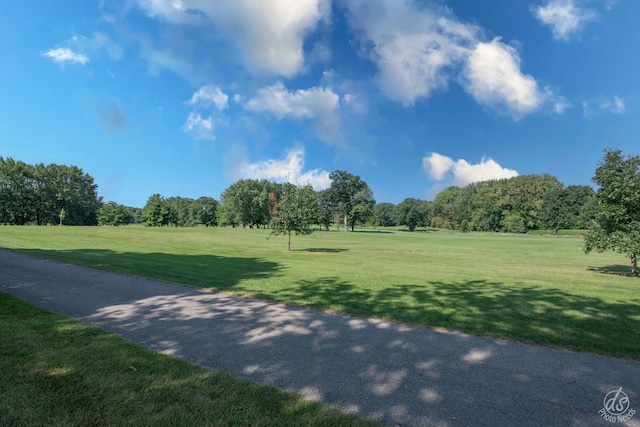 view of home's community with a lawn