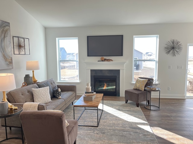 living room with dark hardwood / wood-style floors