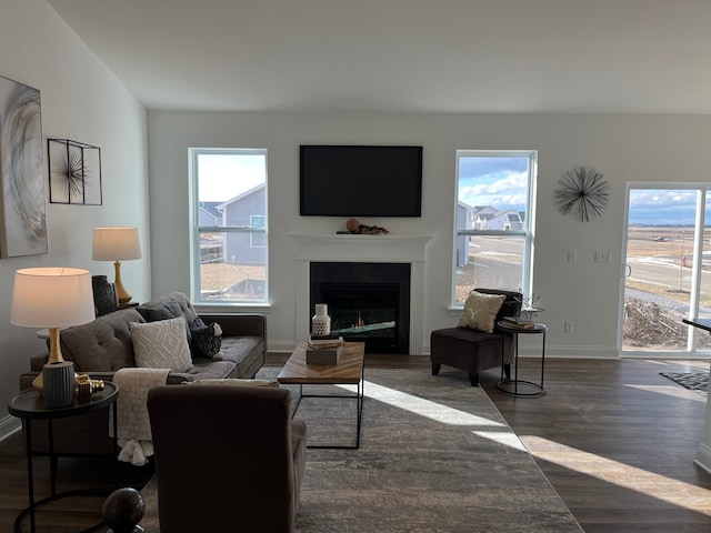 living room with dark hardwood / wood-style flooring