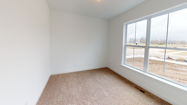 unfurnished room with light colored carpet